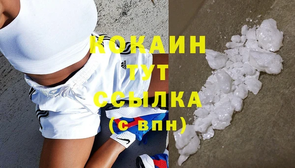 мяу мяу мука Михайловск