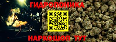 бошки Бийск