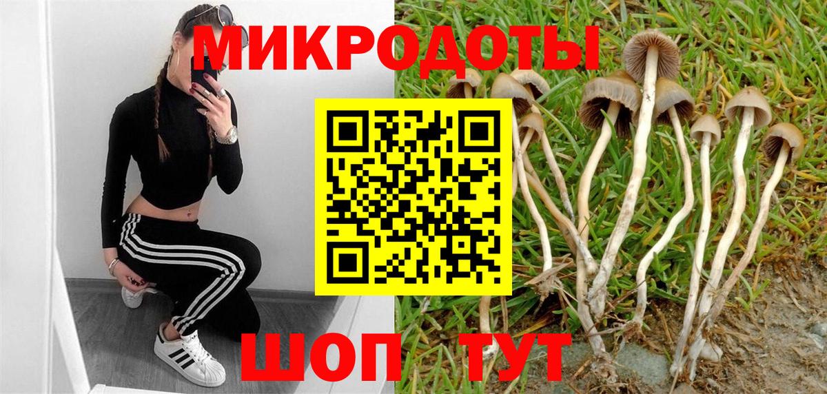Псилоцибиновые грибы Psilocybe  Вход с VPN  Ярцево  Галлюциногенные грибы MAGIC MUSHROOMS 