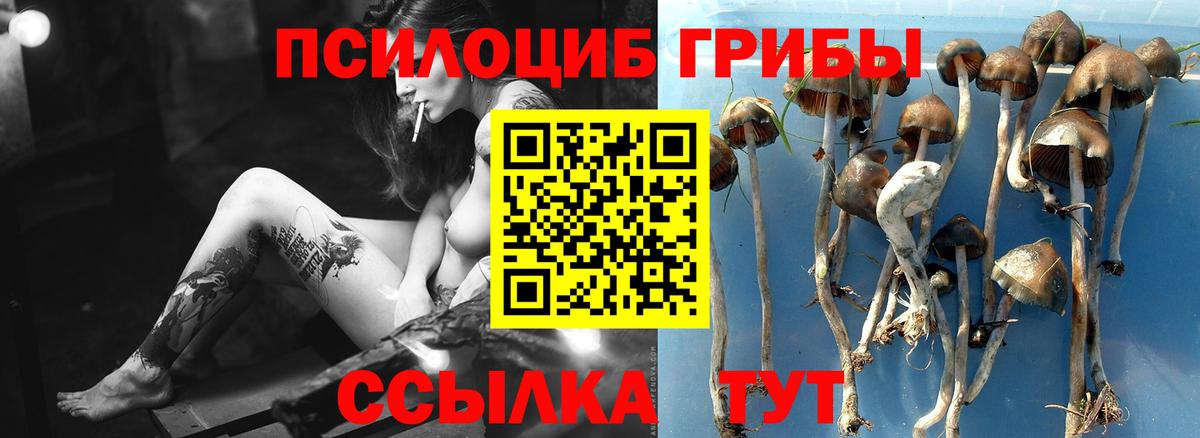 Псилоцибиновые грибы Magic Shrooms Ярцево